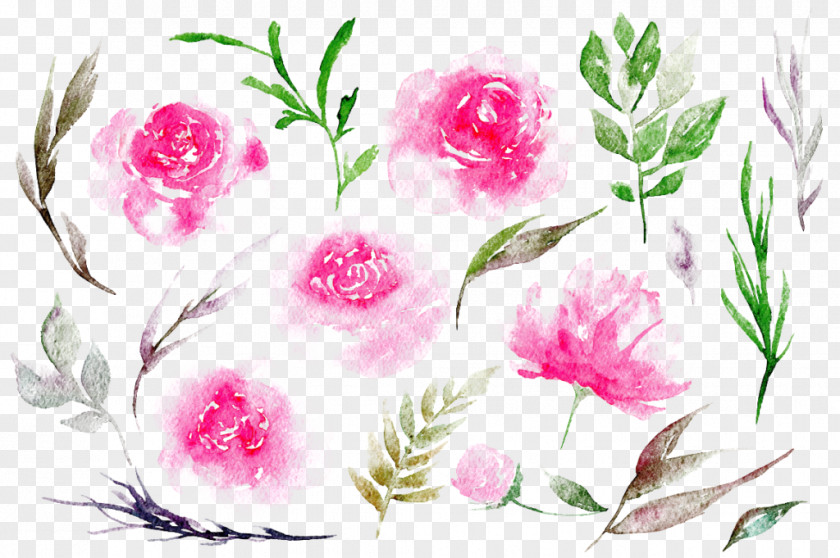 Peony Watercolour Flowers Clip Art PNG