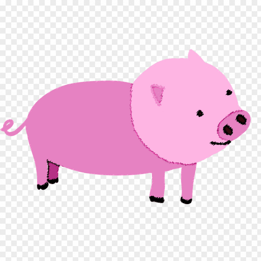 Pig Domestic Pork Clip Art PNG