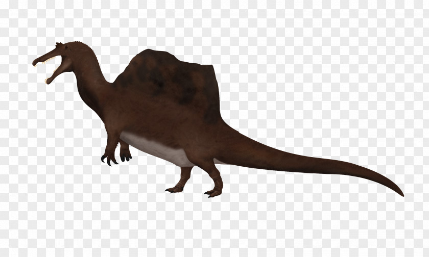 Velociraptor Tyrannosaurus Fauna Animal PNG