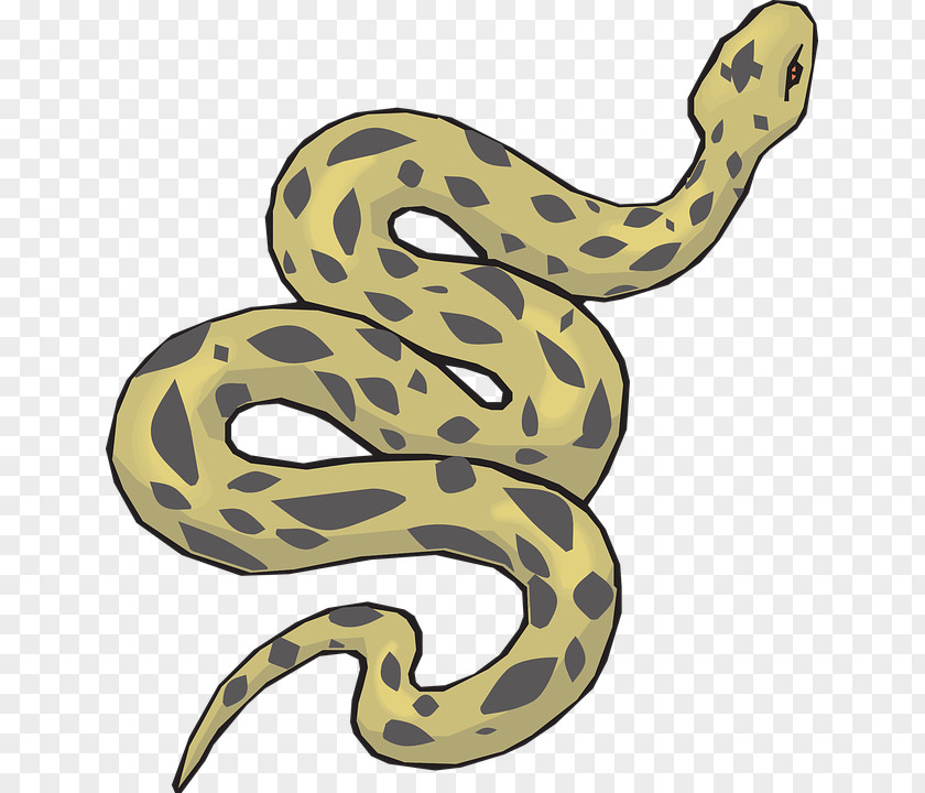 Anaconda PNG Anaconda, brown and gray snake illustration clipart PNG