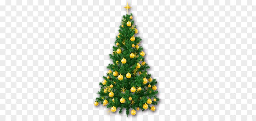 Christmas Tree PNG tree clipart PNG