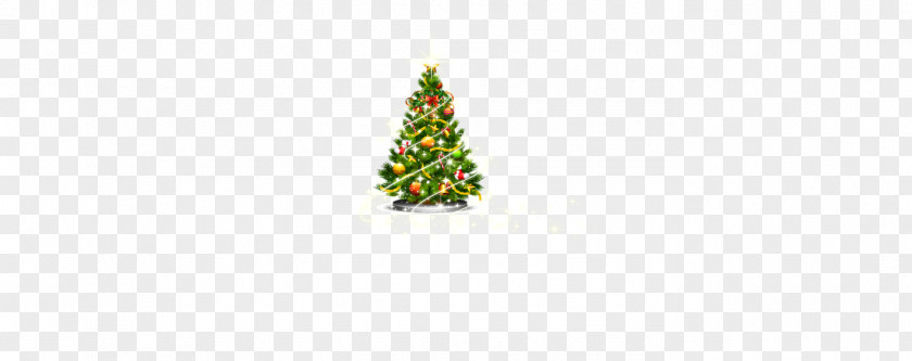 Christmas Tree Vector Fir Spruce Pine Ornament PNG