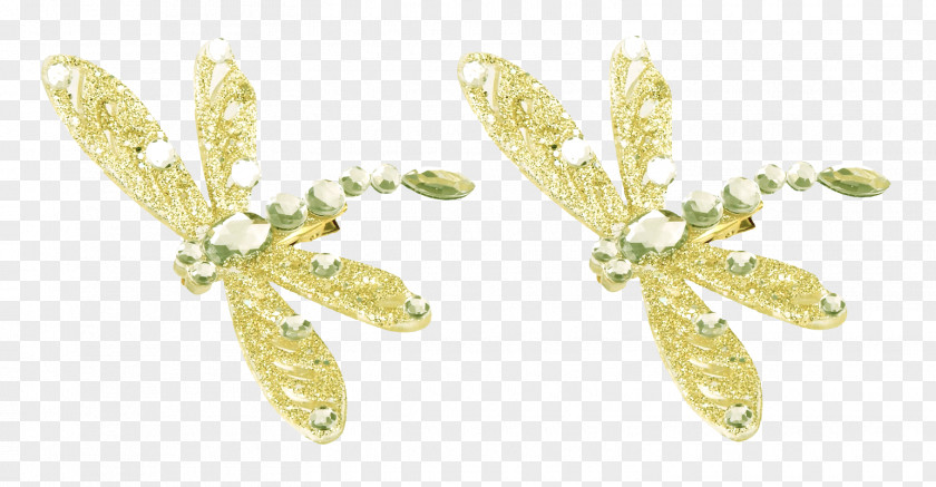 Crystal Dragonfly Jewellery Bead Floor PNG