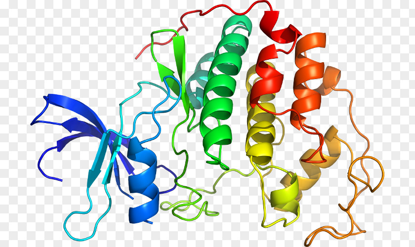 CYCLIN Cyclin-dependent Kinase 2 Protein PNG