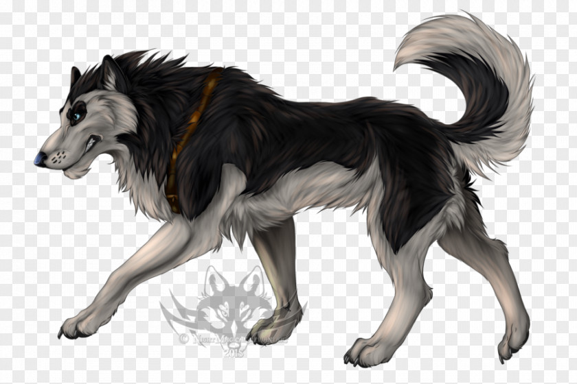 Dog Breed Steele The Sled Balto Drawing PNG