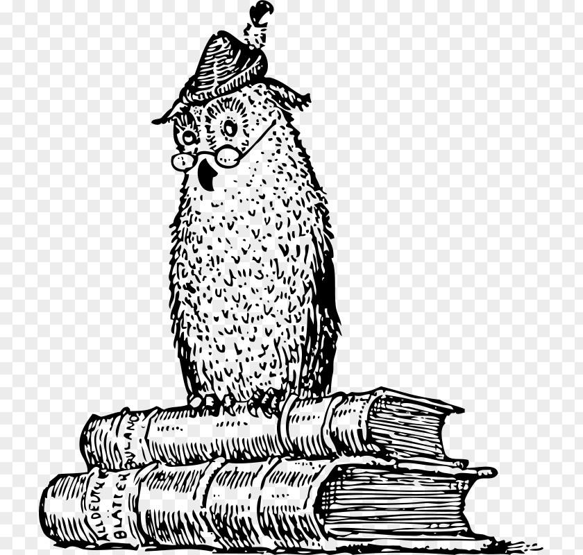 History Owl Cliparts A Little Of Philosophy The World Amazon.com Western Audible Inc. PNG