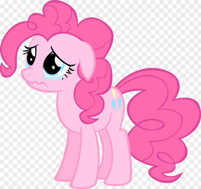 Horse Pony Pinkie Pie Rarity Twilight Sparkle Rainbow Dash PNG