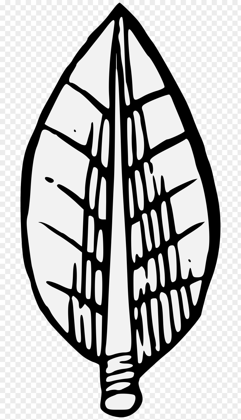 Leaf Clip Art Bay Laurel Drawing PNG