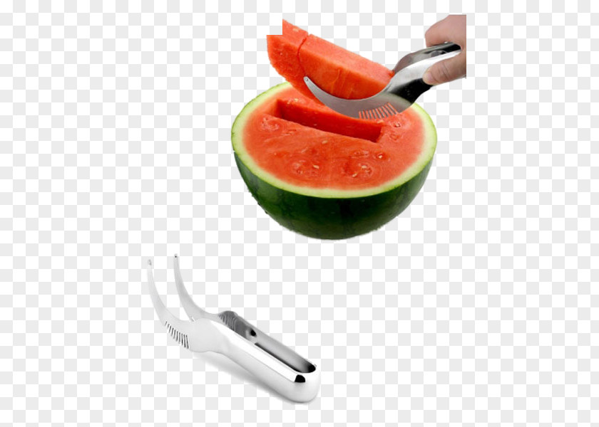 Melon Watermelon Fruit Salad Cantaloupe PNG