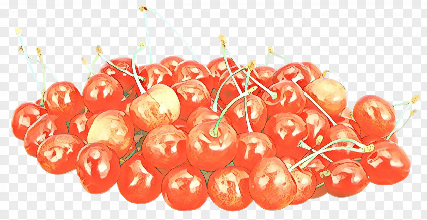Superfruit Solanum Pie Cartoon PNG