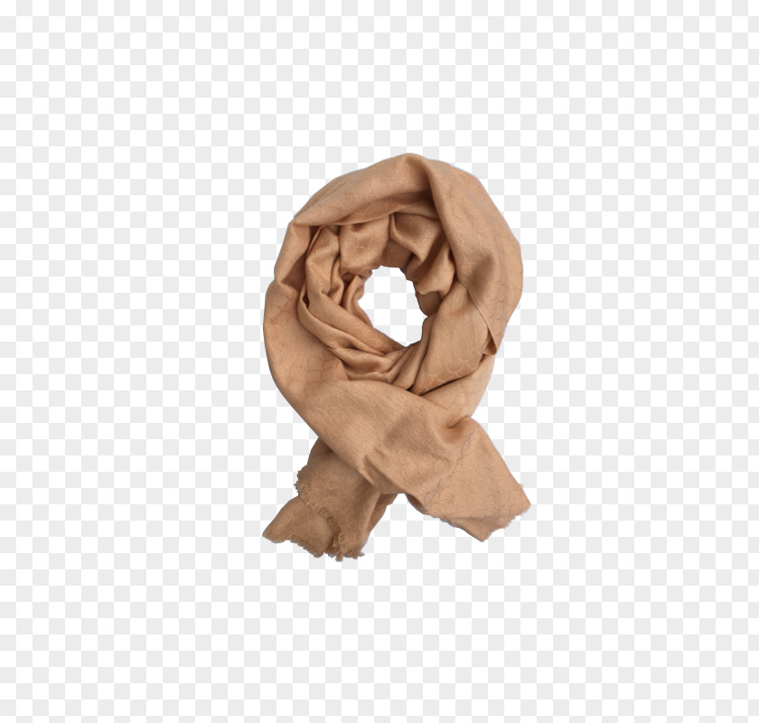 Dina Scarf Neck PNG