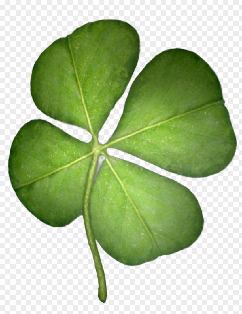 Fairy Tale Scene Leaf Shamrock PNG