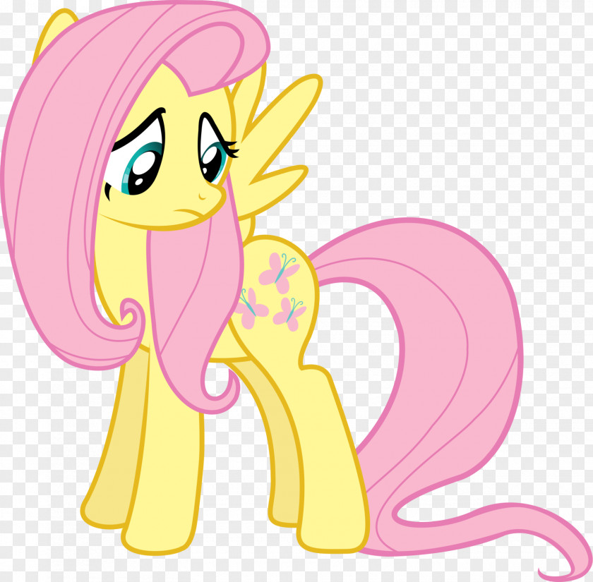 Fluttershy Pinkie Pie Rarity Twilight Sparkle Rainbow Dash PNG