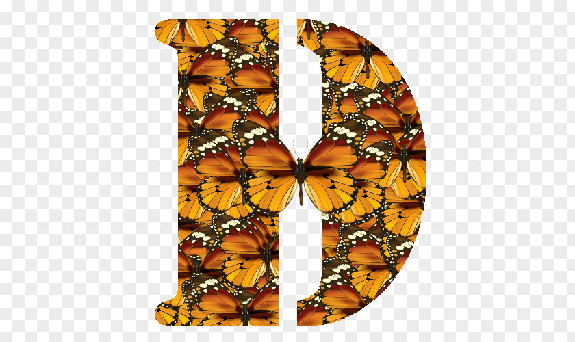 Quebec Monarch Butterfly Brush-footed Butterflies Symmetry Font PNG