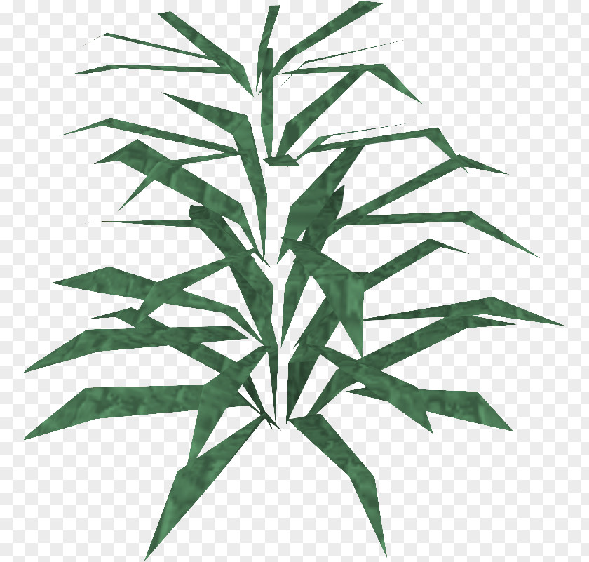 Runescape Classic Wiki RuneScape Rosemary Plant Disease Agriculture Cabbage PNG