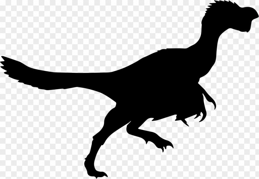 Silhouette Citipati Tyrannosaurus Daspletosaurus Dinosaur PNG