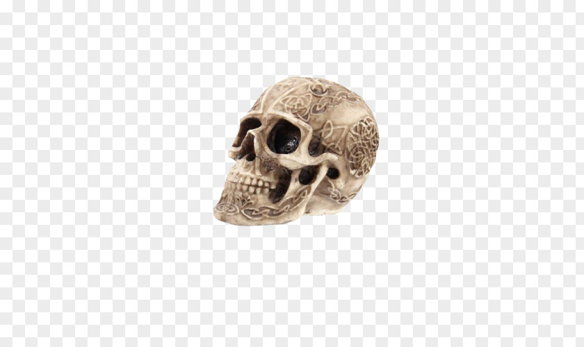 Skull Tirelire PNG