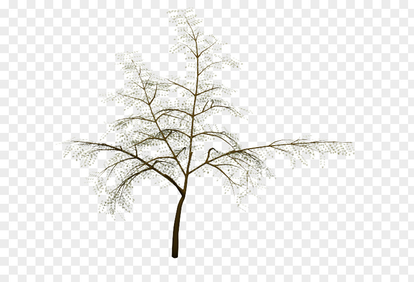 Three Dimensional Blocks Twig Plant Stem Leaf Line PNG