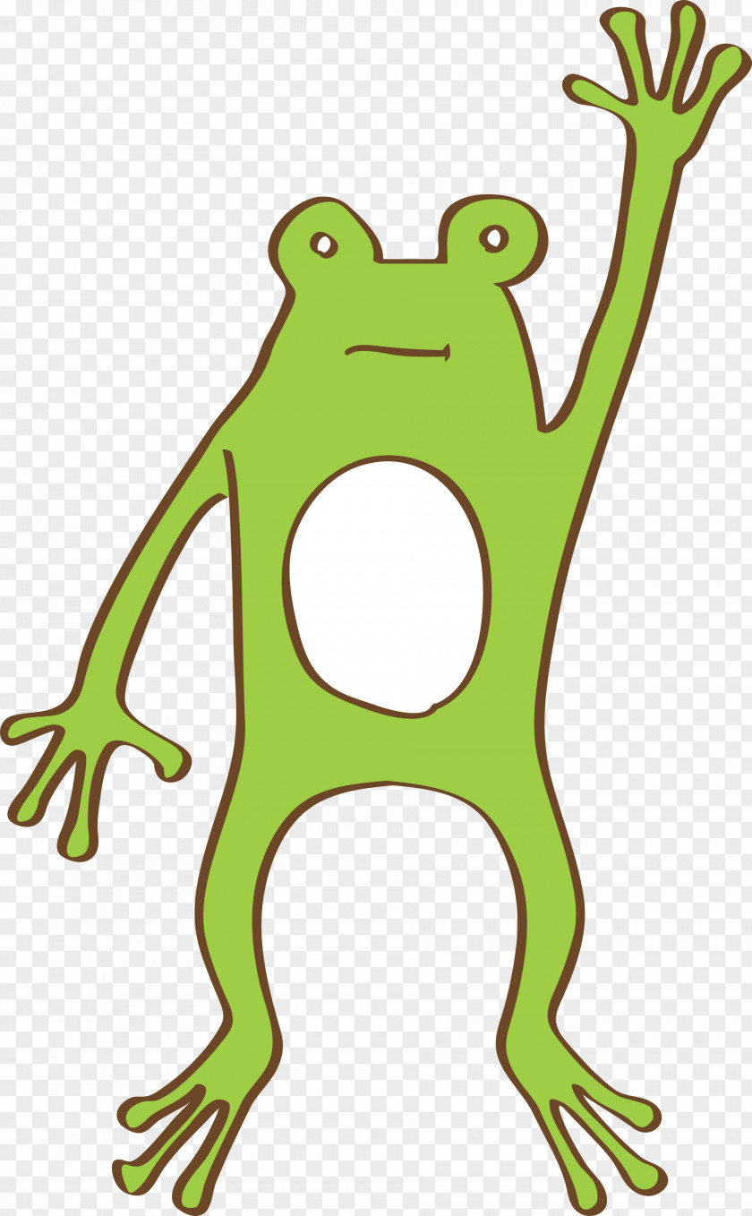 True Frog Frogs Toad Line Art Leaf PNG