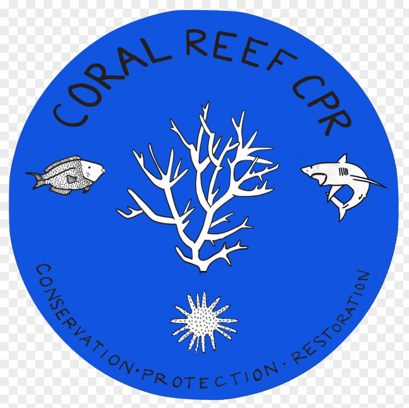 Coral Reef The Global Crisis Marine Biology PNG