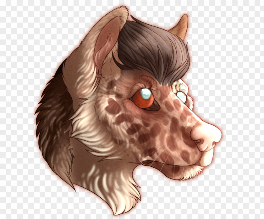 Dog Snout Ear Paw PNG