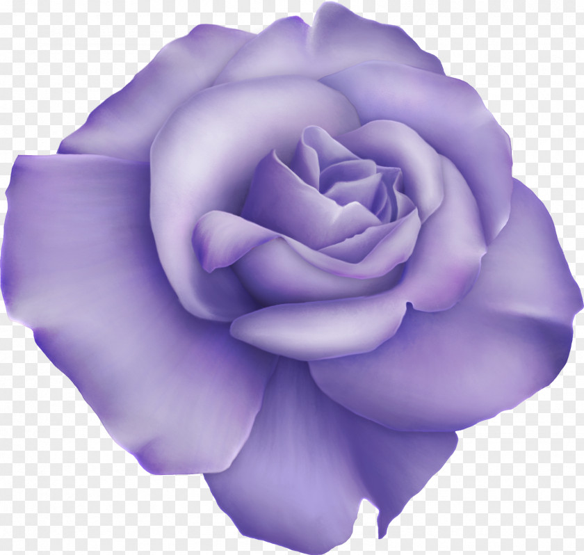 Barnali Bagchi Garden Roses Digital Image Clip Art PNG