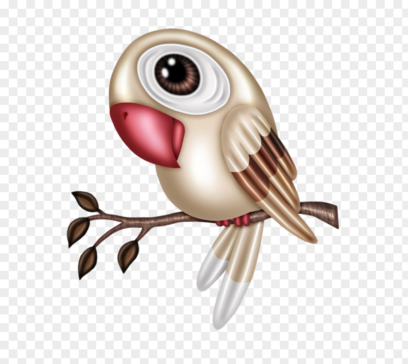 Branches On The Parrot Owl Bird T-shirt Clip Art PNG