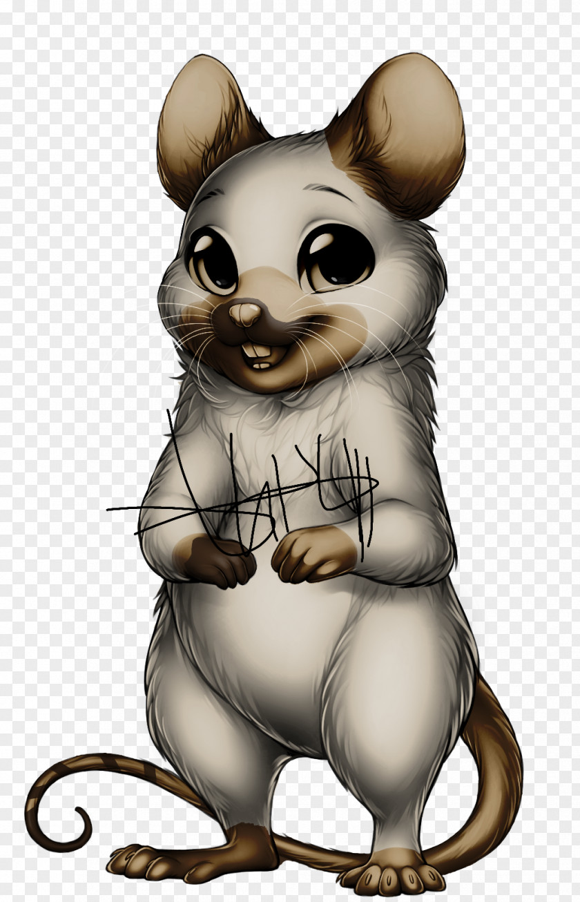 Mouse Rat Bear Whiskers Canidae PNG