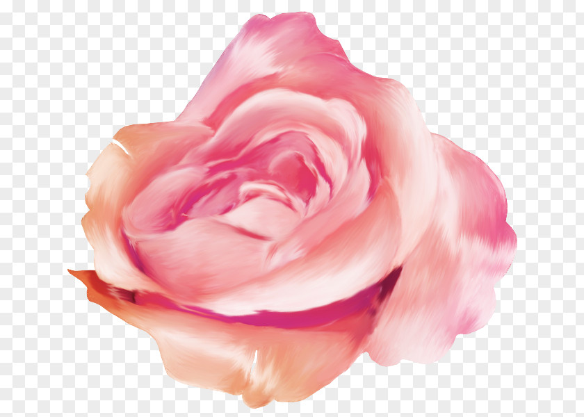 Rose Blog Desktop Wallpaper PNG