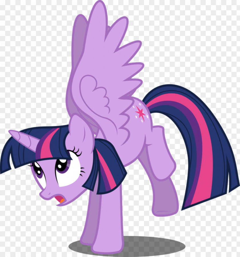 Twilight Sparkle Pinkie Pie Rarity My Little Pony PNG