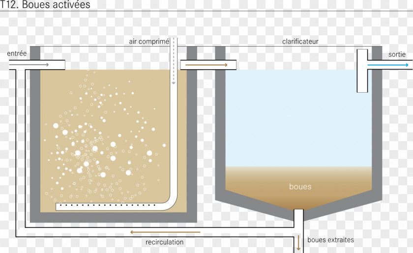 Water Activated Sludge Wastewater Treatment Aeration PNG
