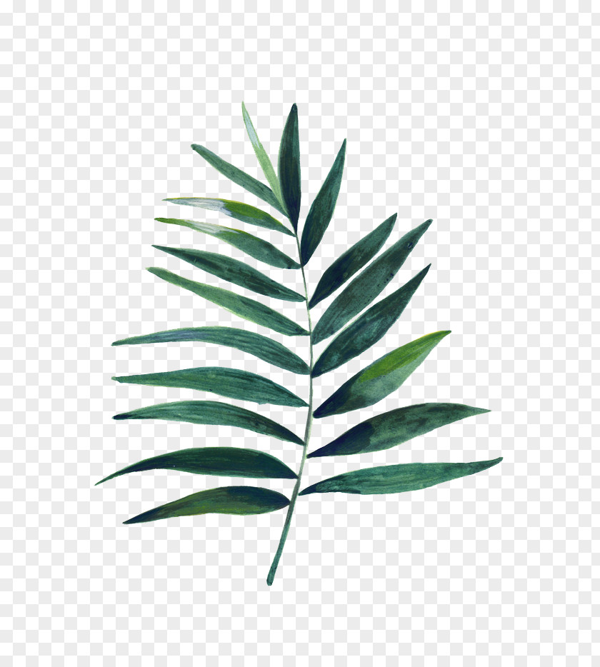 Watercolor Leaves PNG leaves clipart PNG