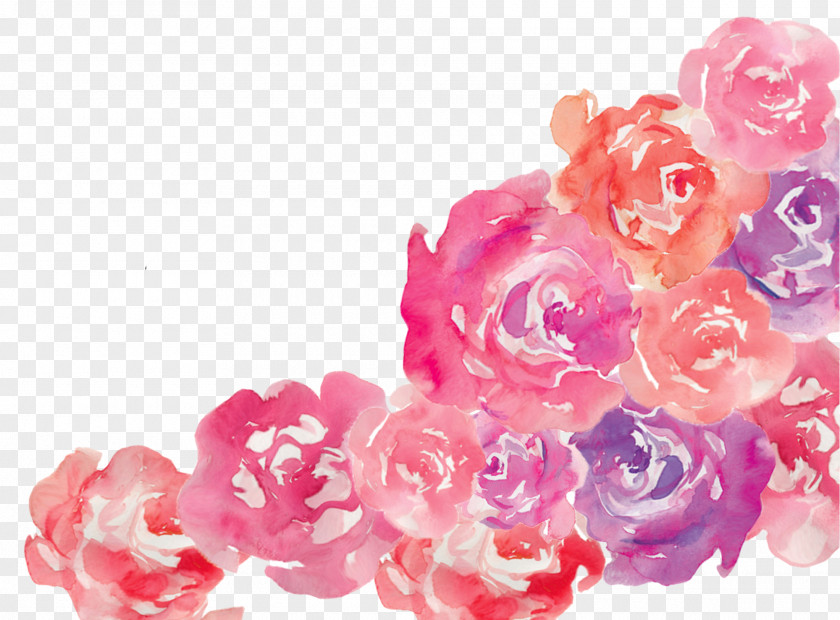 Watercolor Rose Flower Pink Garden Roses Floral Design PNG
