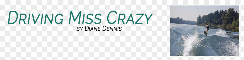 Crazy Driver Logo Banner Brand PNG