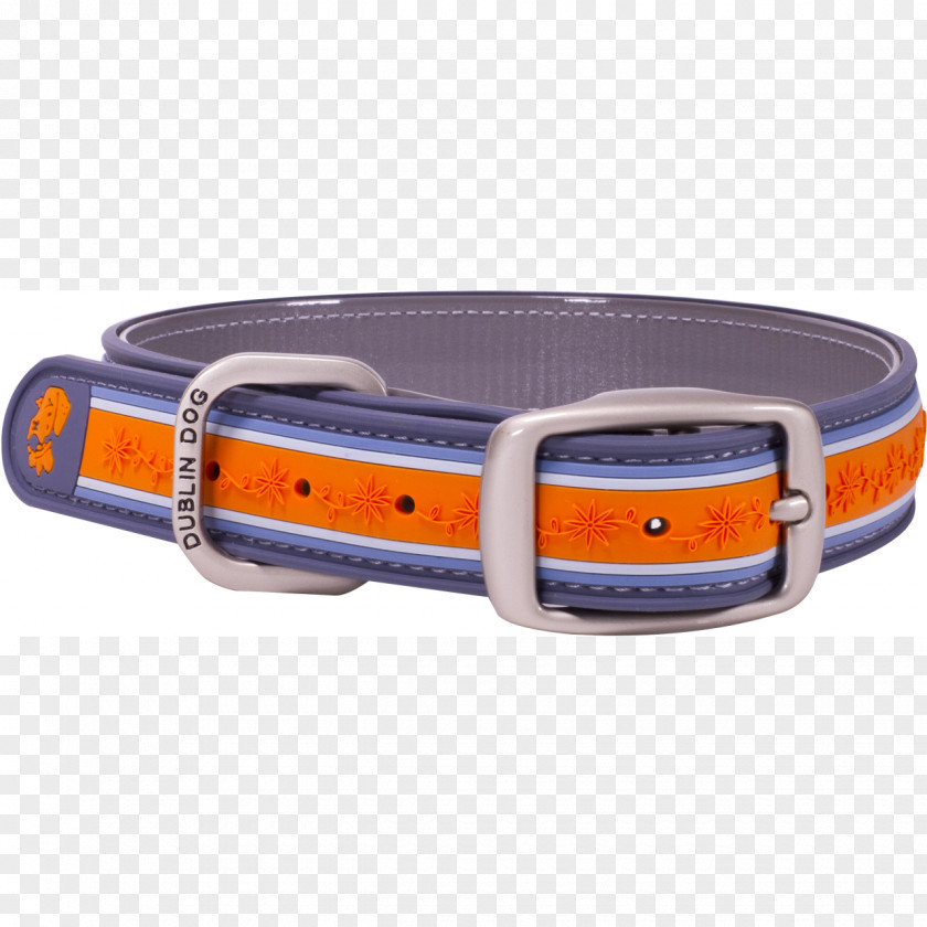 Dog Collar Walking Belt Buckles PNG
