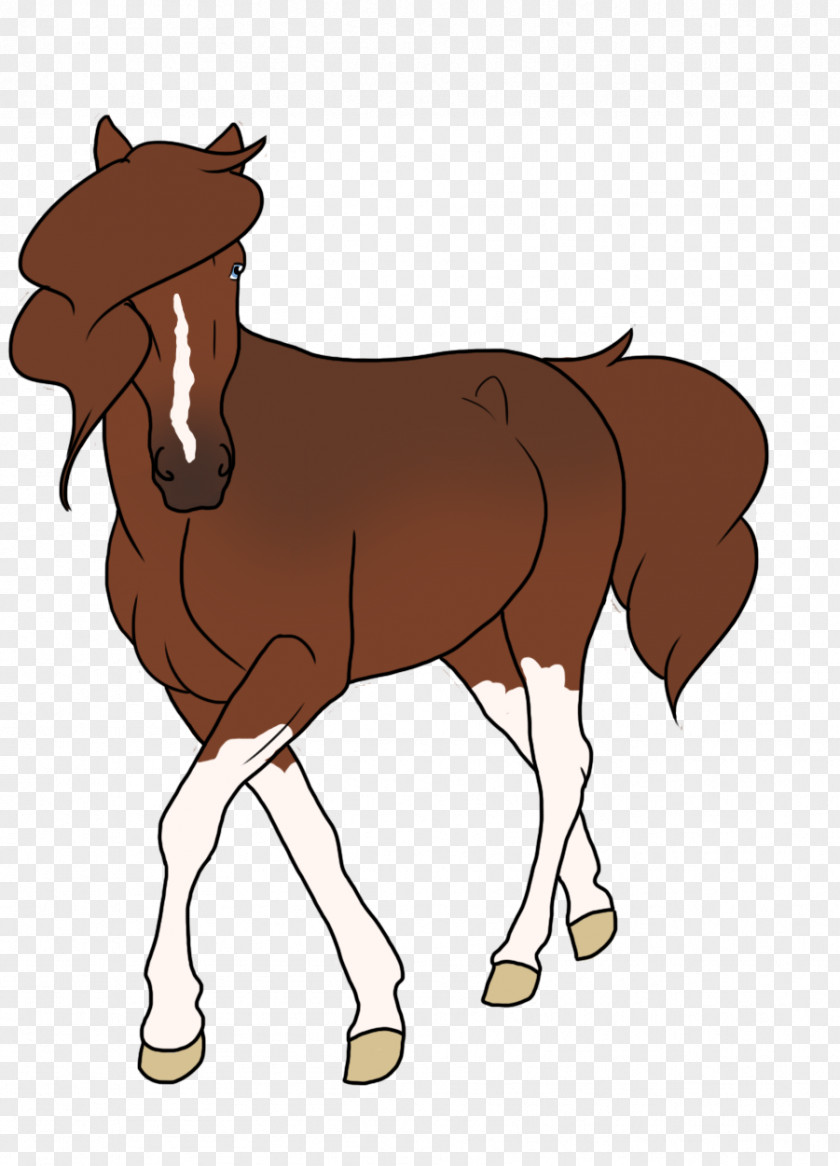 Donkey Mule Foal Stallion Bridle PNG