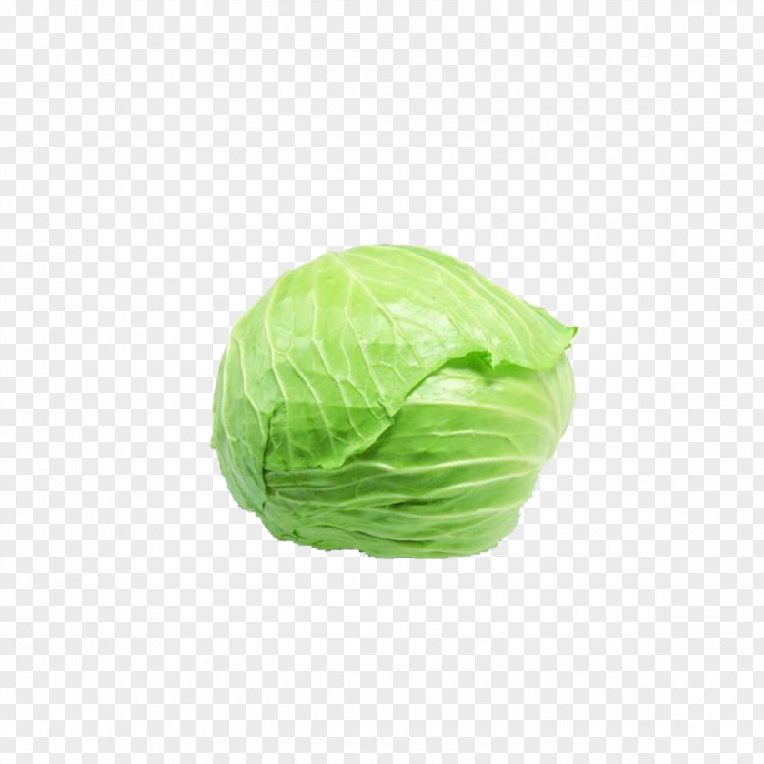 Fresh Kale Napa Cabbage Vegetable Coleslaw PNG