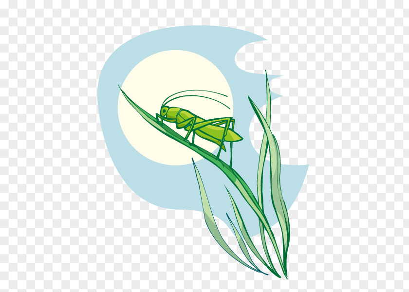 Grasshopper On Grass Cricket Bat Euclidean Vector Clip Art PNG