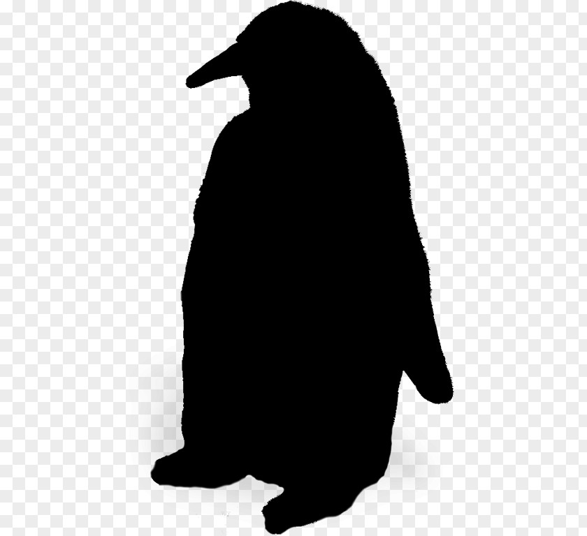 Penguin Silhouette Beak Black M PNG