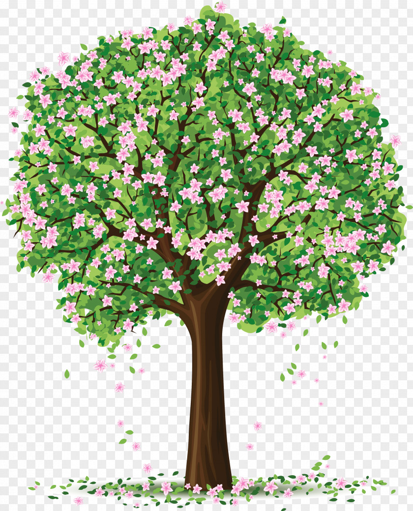 Spring Tree Art Picture Clip PNG