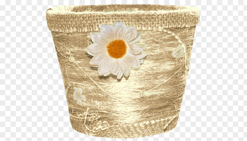 Vase Flower PNG