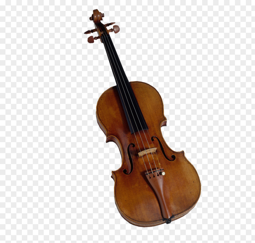 Violin Double Bass Clip Art PNG