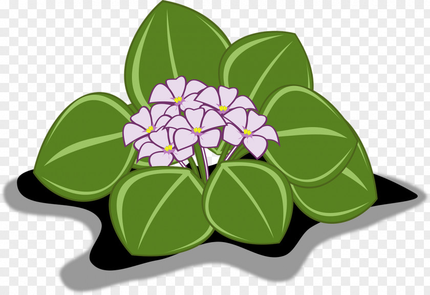 动物 African Violets Floral Design Clip Art PNG