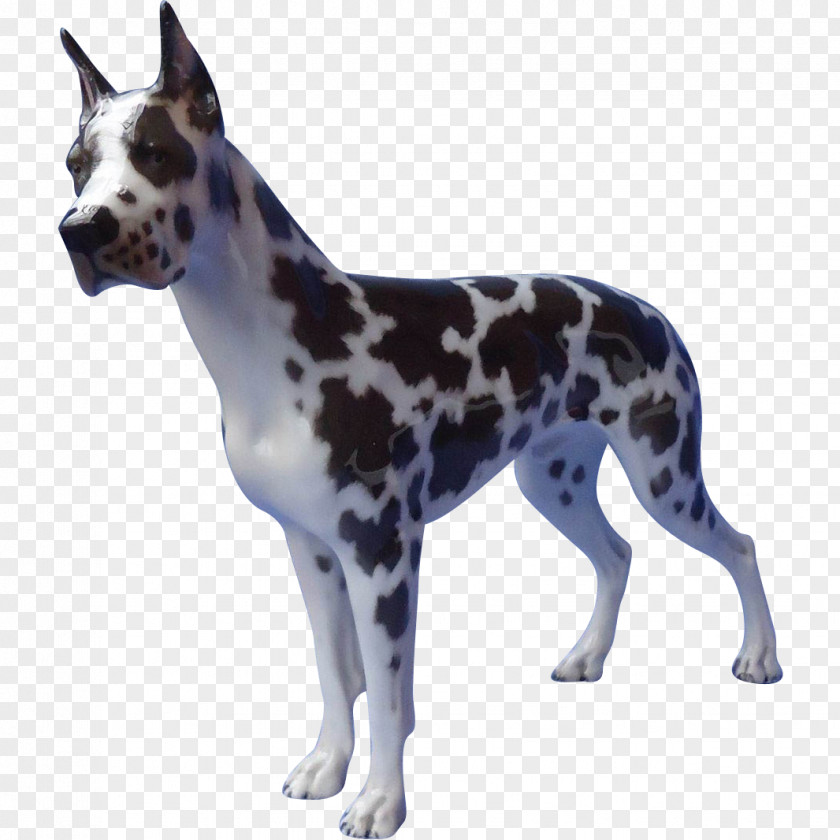 Great Dane Dog Breed Non-sporting Group (dog) Snout PNG