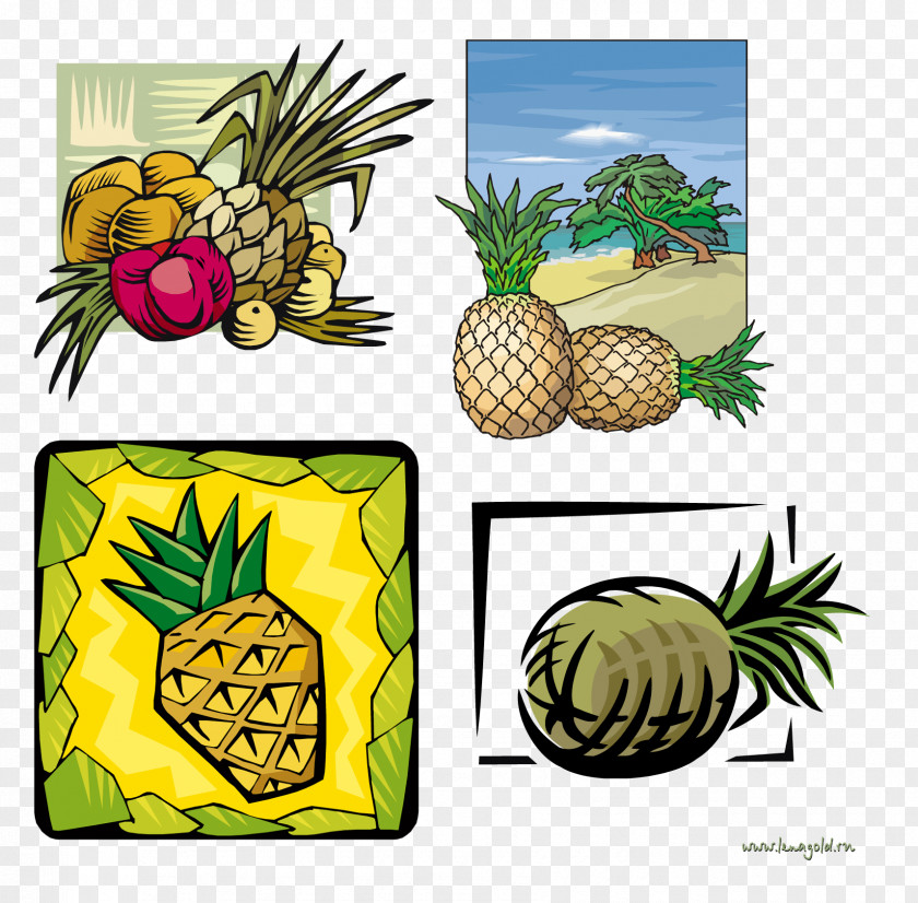 Pineapple Fruit Clip Art PNG