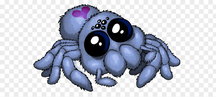 Spider Drawing Cuteness Puppy PNG