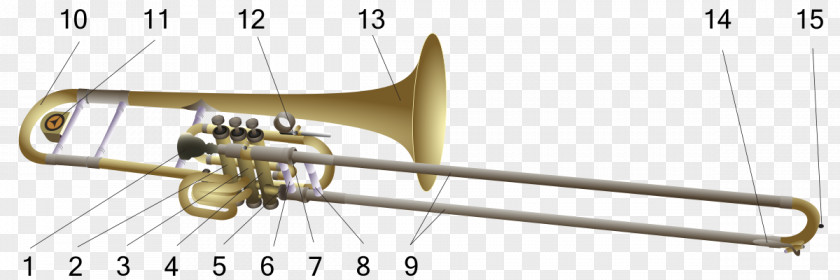 Baritone Horn Types Of Trombone Superbone Trumpet Firebird PNG