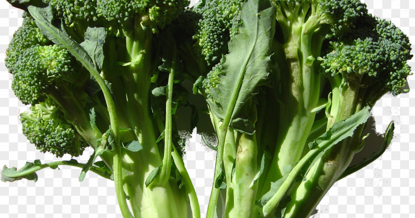 Broccoli Cauliflower Cabbage Kohlrabi Vegetable PNG