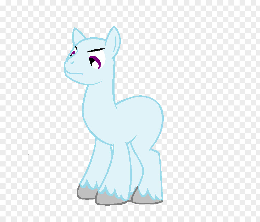 Cat Whiskers Horse Pony Dog PNG