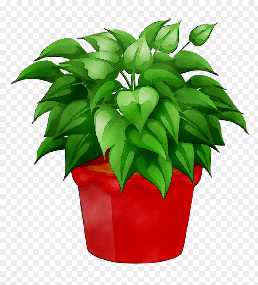 Flowerpot Leaf Houseplant PNG